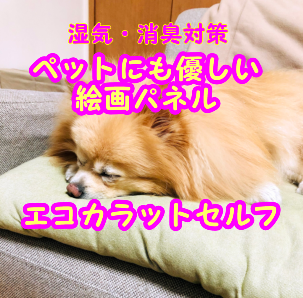 dog-sleep-Ecocarattoself